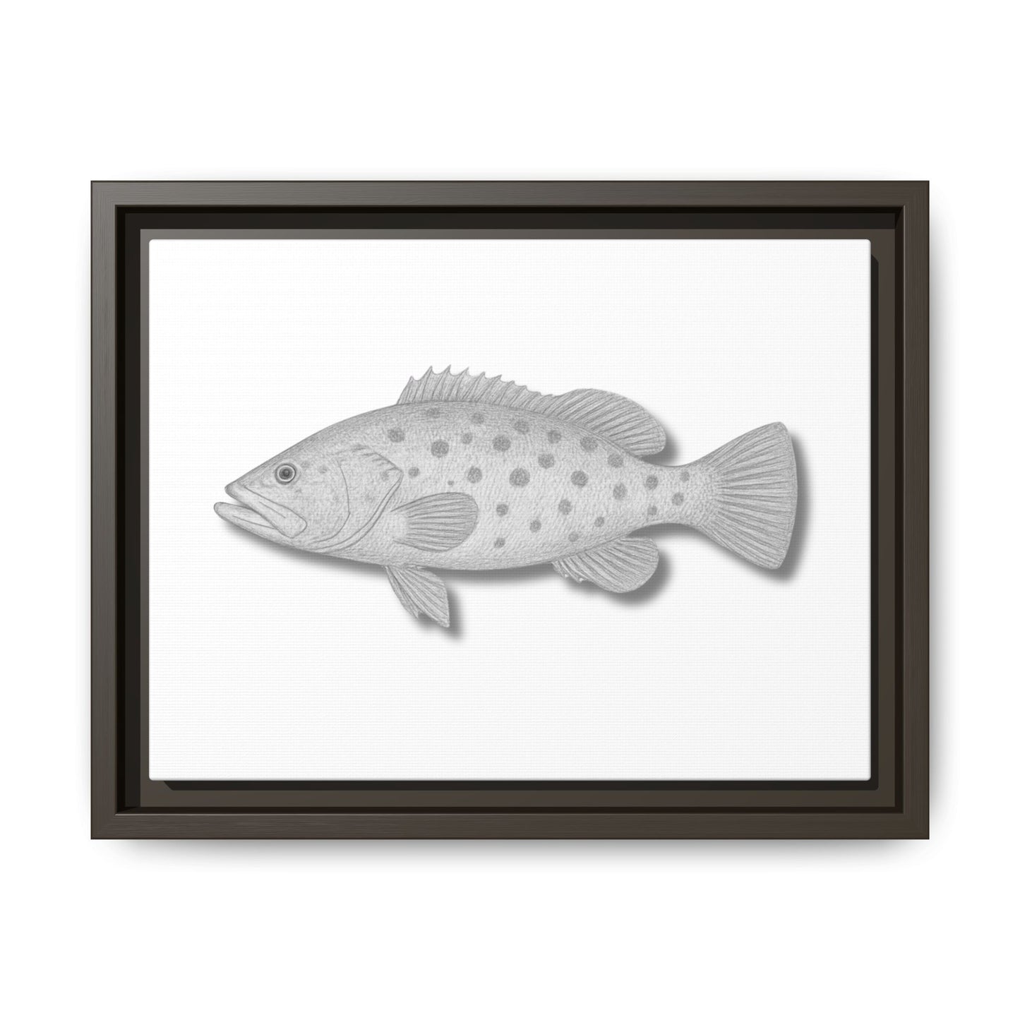 Grouper
