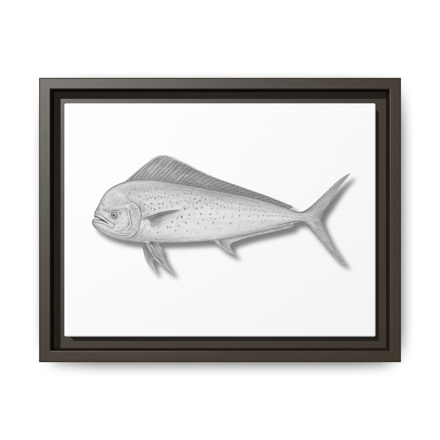Mahi Mahi
