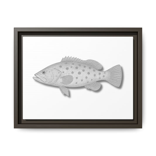 Grouper