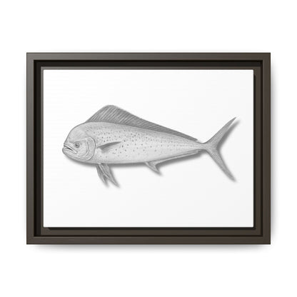 Mahi Mahi