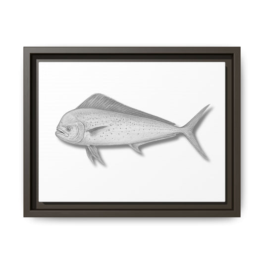 Mahi Mahi