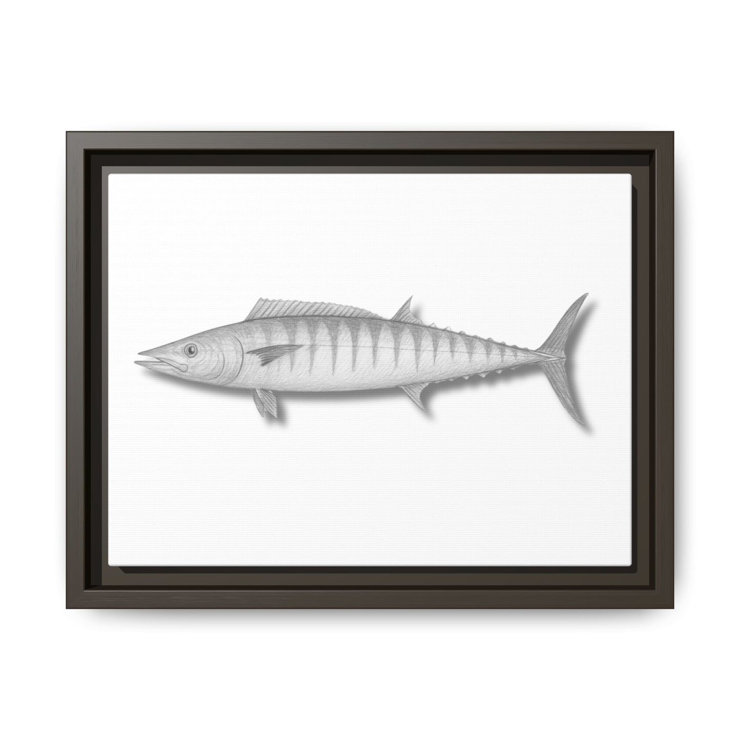 Wahoo