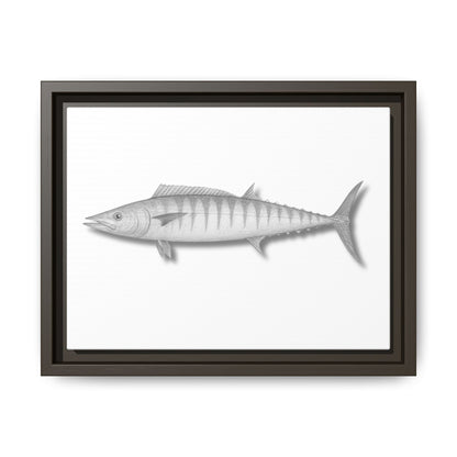 Wahoo