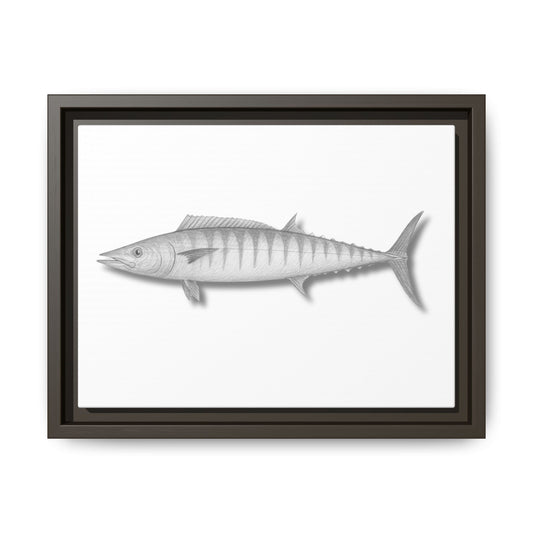 Wahoo