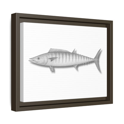 Wahoo